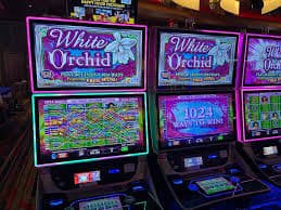Tim operasional mega33 dalam studio multi-kamera live dealer
